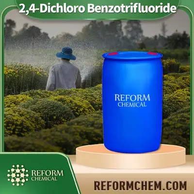 Ency-Dichloro Benzotrifluoride