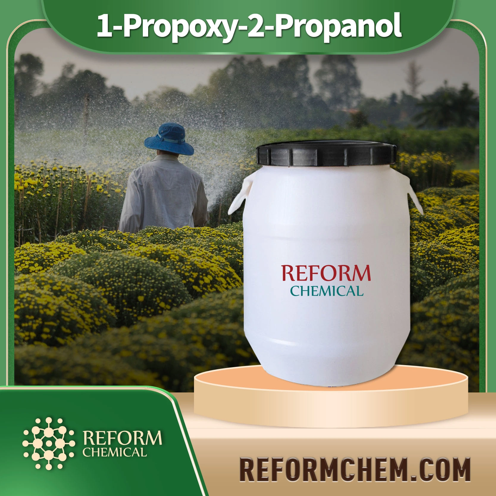 1 propoxy 2 propanol 1569 01 3