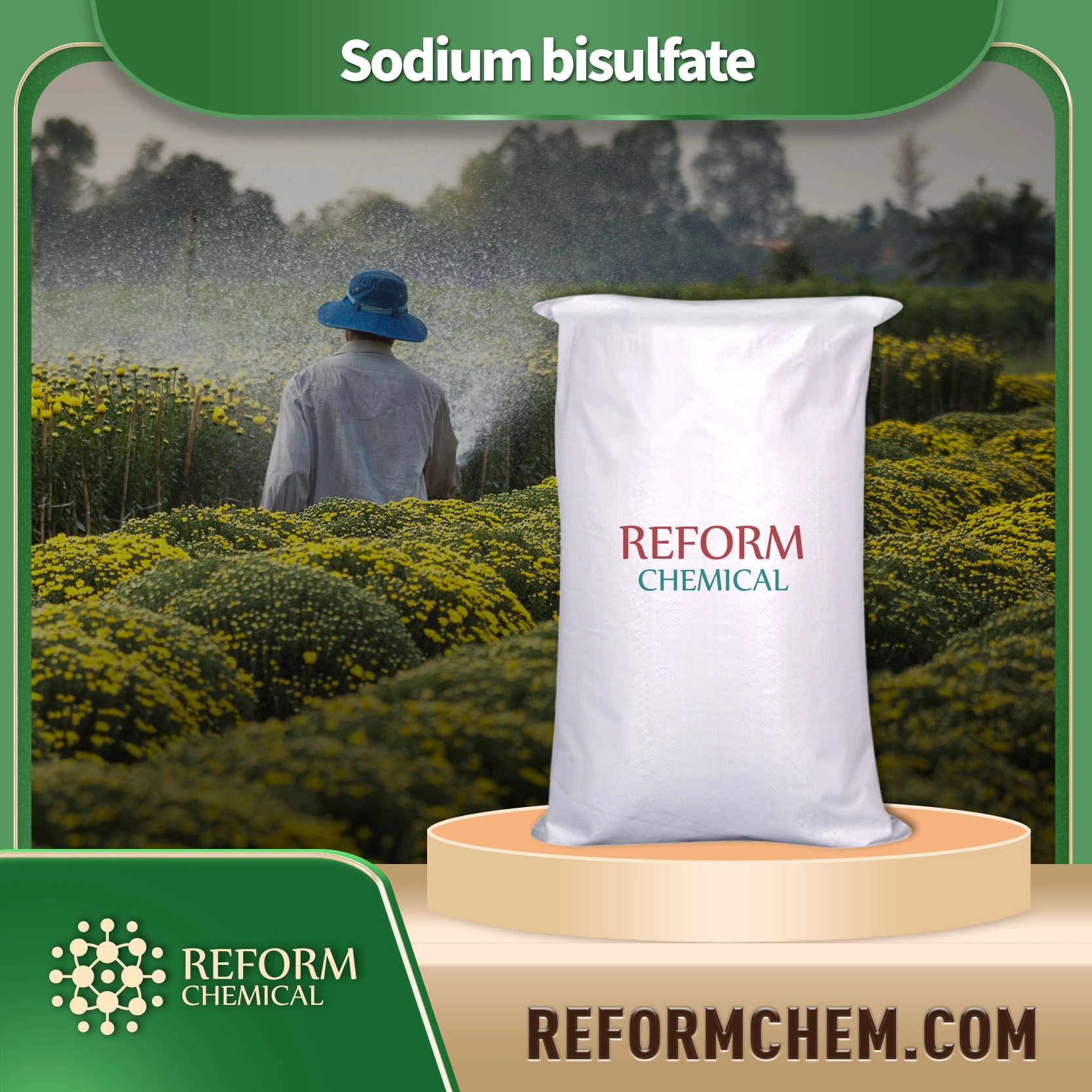 sodium bisulfate7681 38 1