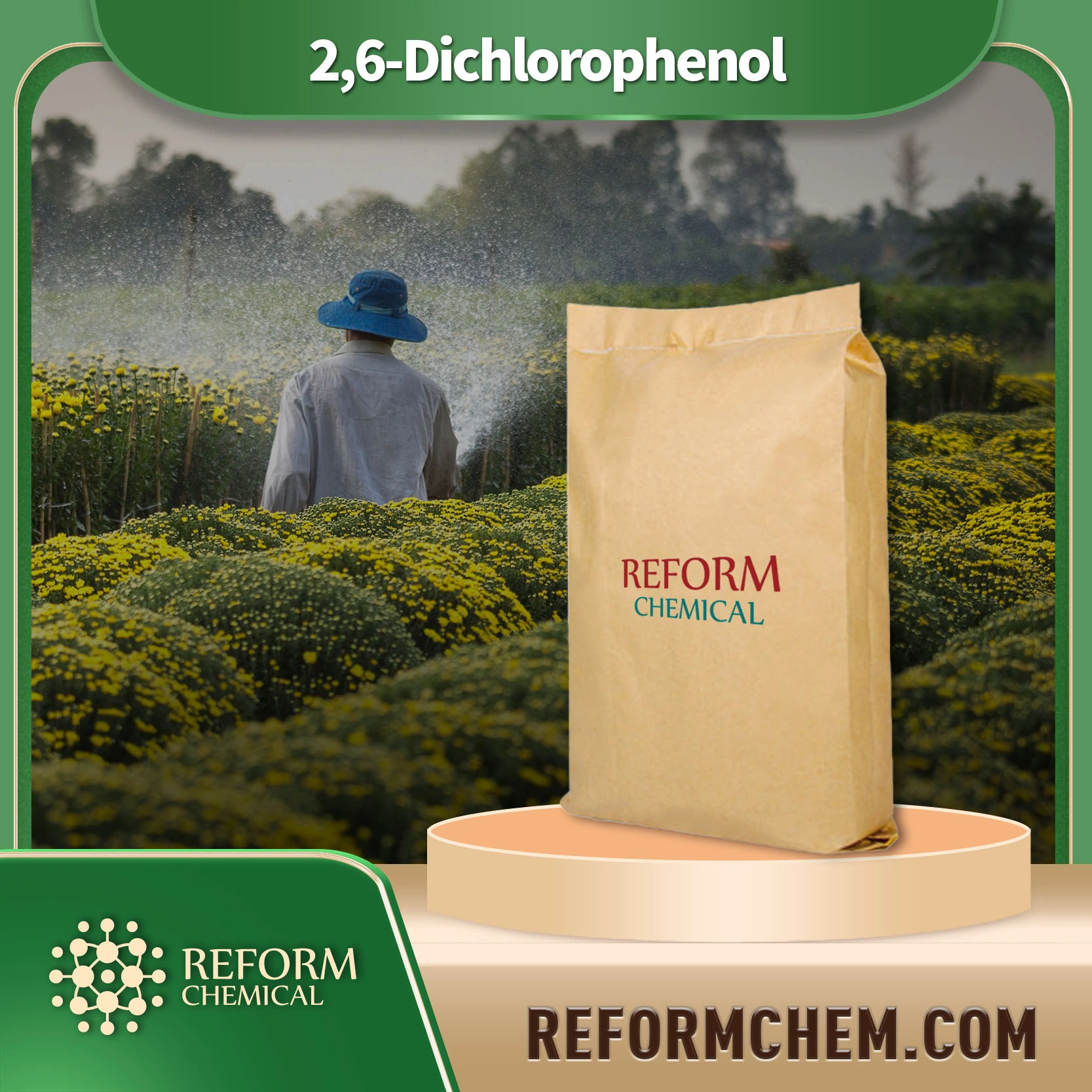 2 6 dichlorophenol87 65 0