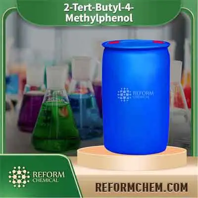 2-ter-butyl-4-ميثيلفينول