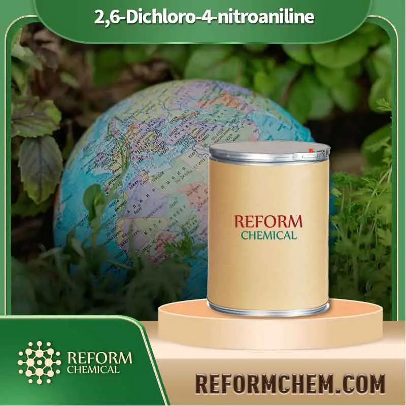 26 dichloro 4 nitroaniline 99 30 9